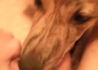 Dirty dog licking this huge cock on camera