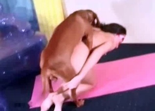 Sexy pet seducing a brunette bombshell on cam