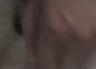 Dog exploring its sexual desires on camera