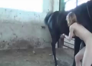 Pale Russian chick fucking a black horse