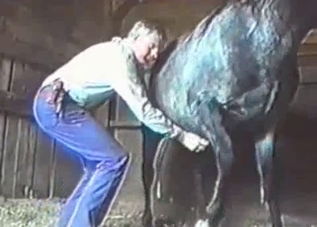 Horse with a twitchy cock gets jerked off