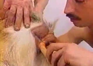 Gay threesome with a horny animal