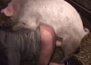 Domineering pig dominates his asshole