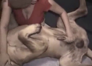 Crazy action with a horny dog