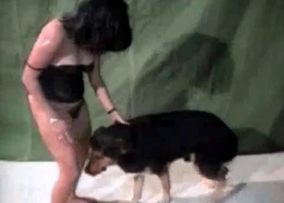Thick chick takes dog's big dick