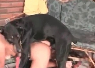 Doggy style bestiality madness