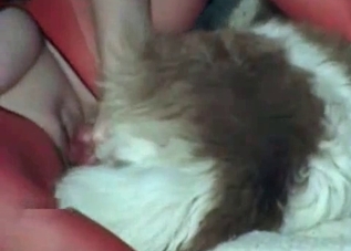 Hardcore fucking with a tight pussy cutie