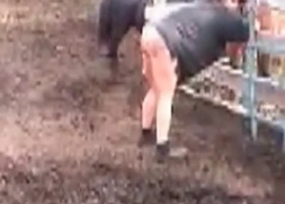 Big-dicked horse seducing chicks outdoors