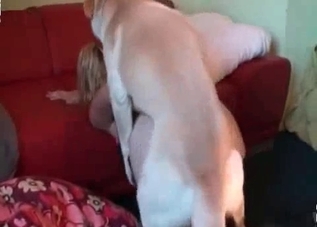 Bestiality banging with an amateur slut that loves it