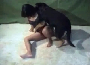 Dirty dog drilling that tight pussy on camera