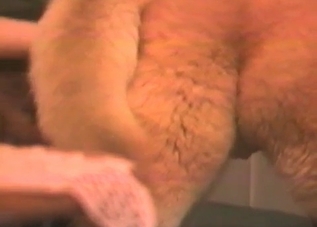 Hard cock pleasured by a big-dicked dog