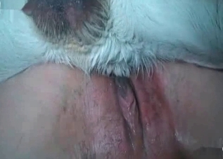 Sex-starved zoophile takes on two hung dogs