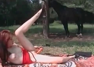 Horse watching this slut masturbate furiously