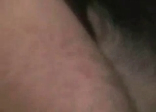 Horny animal pleasuring a raging boner on cam