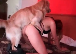 Horny animal destroying a sweet-looking slut