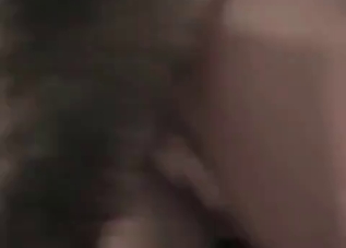 Horny-as-fuck doggo fucking a slender slut