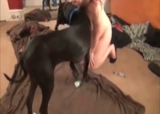 Chic slut is all about sucking dog cocks on cam