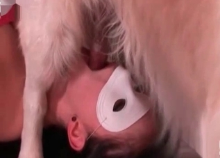 Incredible-quality bestiality XXX in HD
