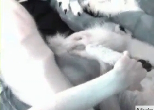 Horny dog enjoying anal penetration on cam