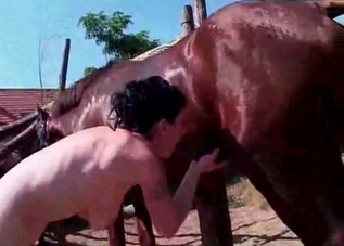 Bestiality banging on a huge farm