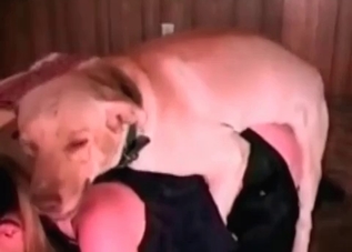 Tight pussy hottie enjoying this dog's cool cock
