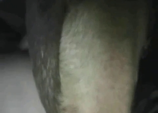 Sexy animal fucker enjoying animal fucking