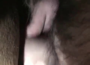 Barn banging with a sexy horse that loves sex