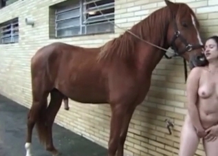 Astounding Latina enjoying horse dick