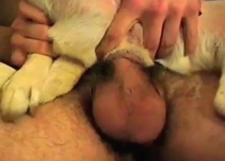 Dog's dirty asshole is getting savagely fucked