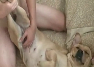 Awesome cock is getting pleasured by a white dog