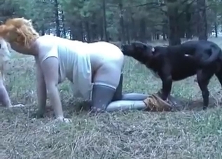 Two fat chicks enjoying bestiality on camera