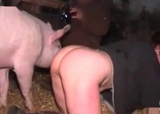 Naughty babe gets it on with a pretty pig