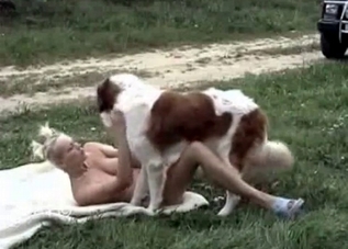 Stacked slut enjoying outdoors animal fucking