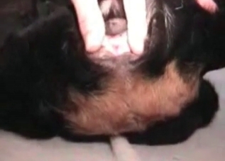 Dirty dog gets to enjoy this dude's cock