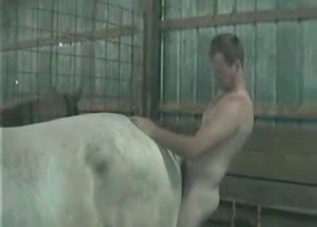 Bestiality with a sexy stallion