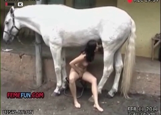 White horse enjoying this round booty cutie