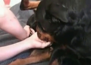 Black dog enjoying hardcore bestiality on cam