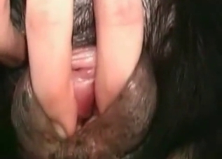 Black dog enjoying hardcore bestiality on cam