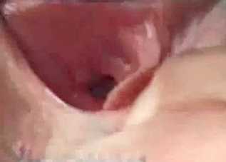 Dog cock penetrating this chick's tight pussy