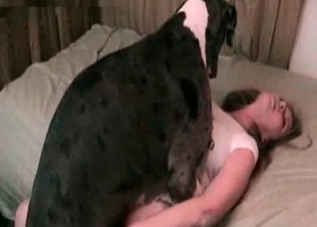 Missionary sex session with a well-endowed dog