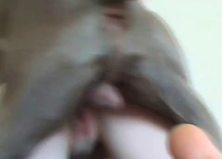Tight pussy submissive slut fucked by a dog