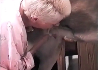 Tight pussy getting savagely gaped by a dog