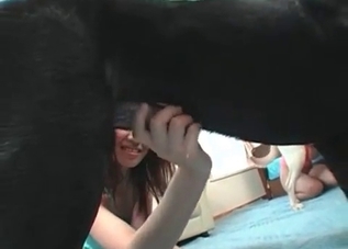 Two animals decide to fuck this tanned Japanese slut