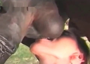 Twisted teen licking this horse's giant balls