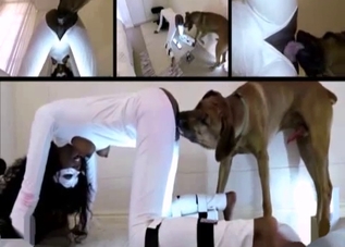 Ebony slut fucks a dog (multiple angles)