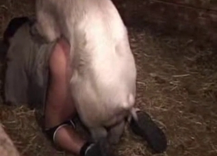 Domineering pig dominates his asshole