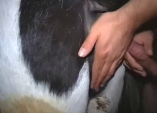 Orgasmic fuck with a fat pussy animal, it's great