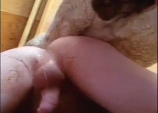 Fit-as-fuck guy fits a horse cock in his asshole