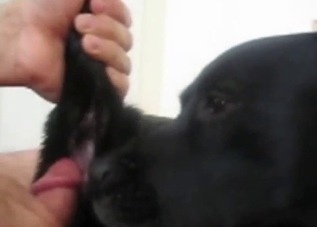 Amazing gaping session with a slutty beast