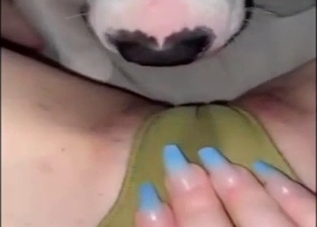 POV pussy licking experience from a sexy dog